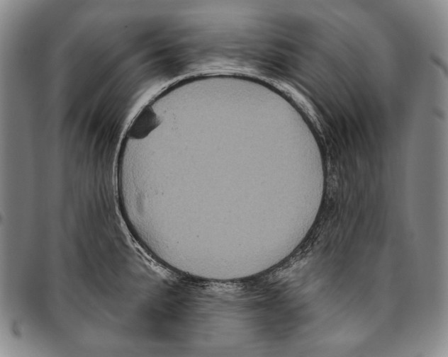 X0000096471191200802211142