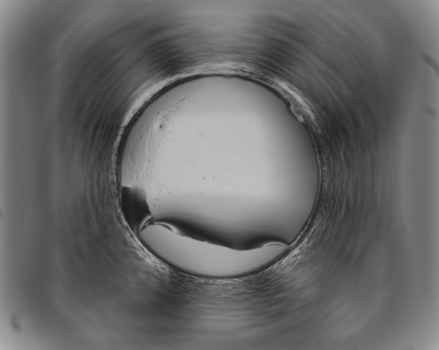 X0000096471192200802211142