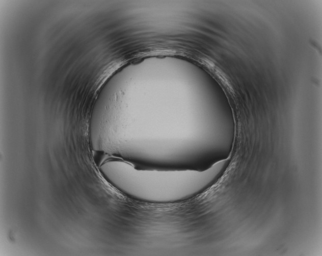 X0000096471193200802211142