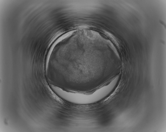 X0000096471194200802211142