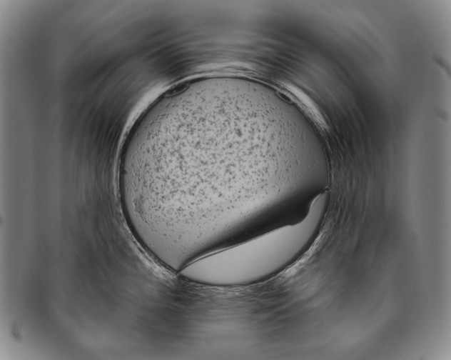 X0000096471196200802211142