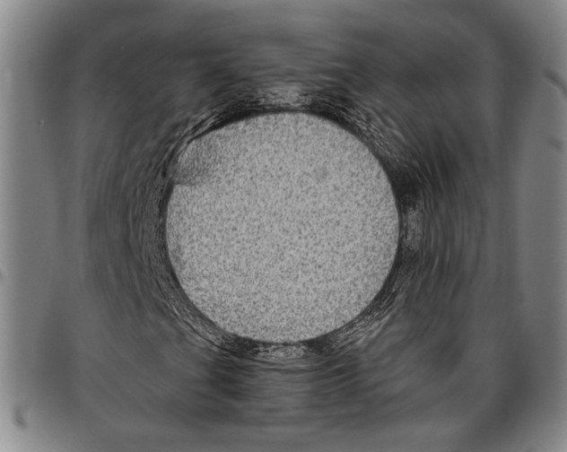 X0000096471201200802211142