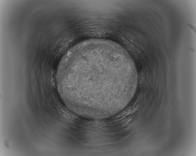 X0000096471202200802211142