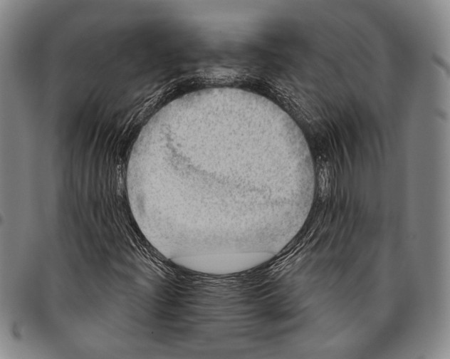 X0000096471204200802211142