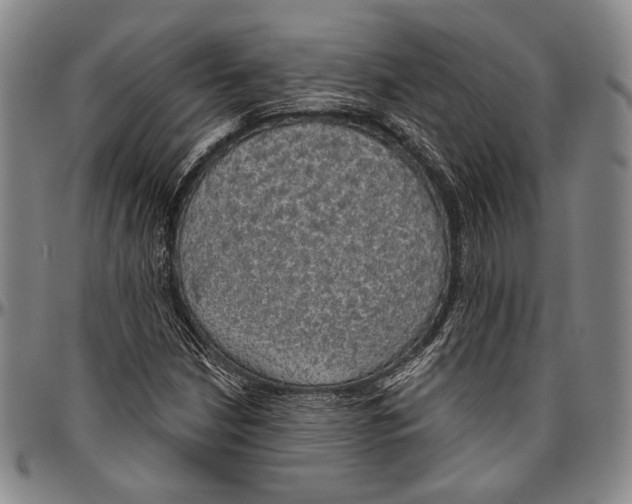 X0000096471210200802211142