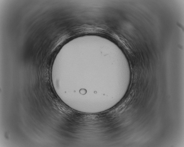 X0000096471211200802211142