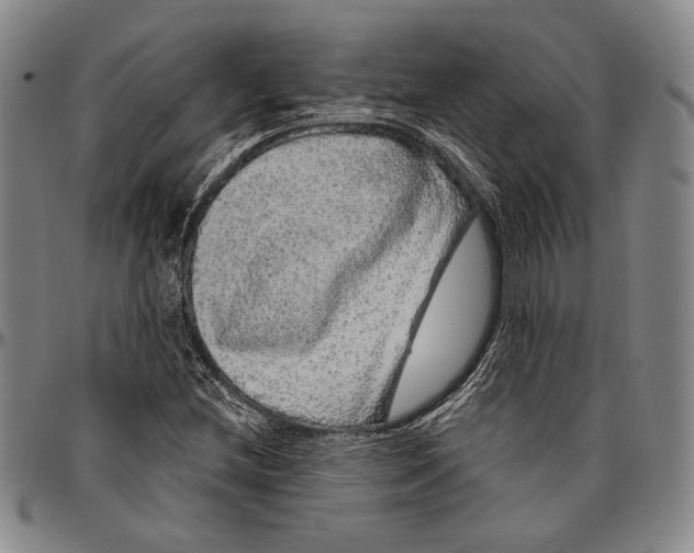 X0000096471212200802211142