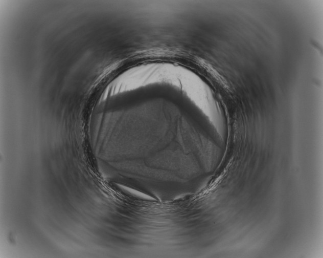 X0000096471213200802211142