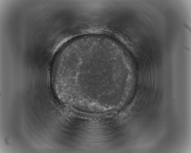 X0000096471214200802211142