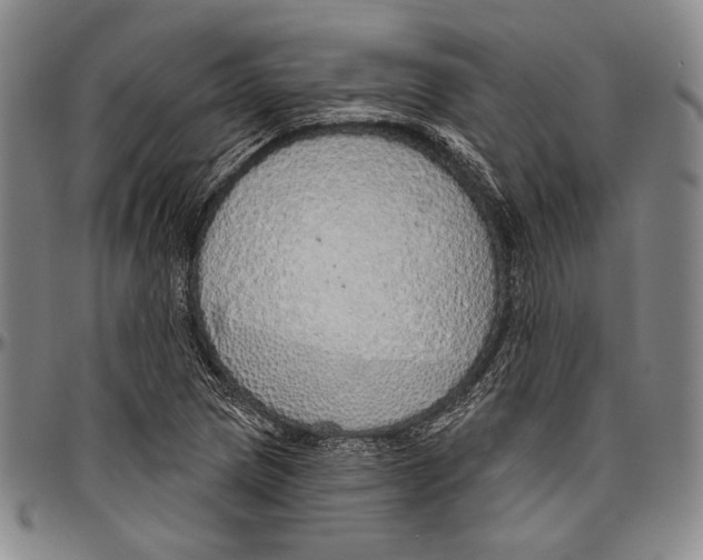 X0000096471217200802211142