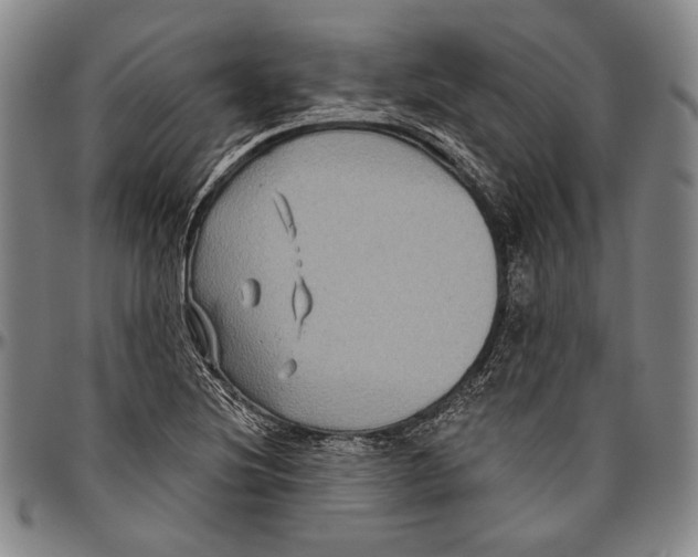 X0000096471220200802211142