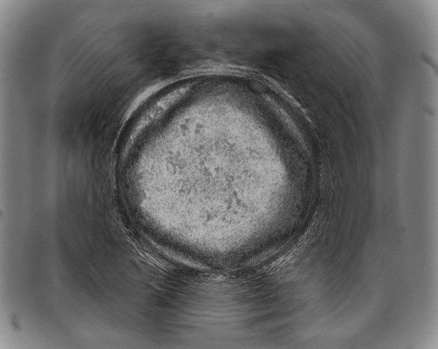 X0000096471222200802211142