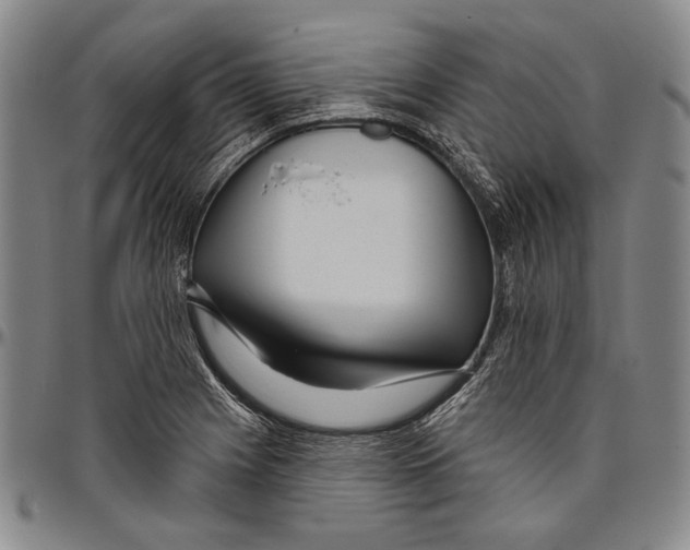 X0000096471225200802211142