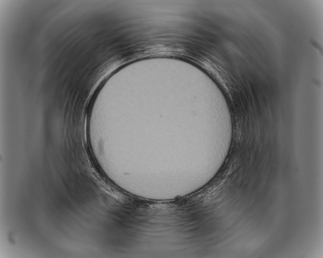 X0000096471227200802211142