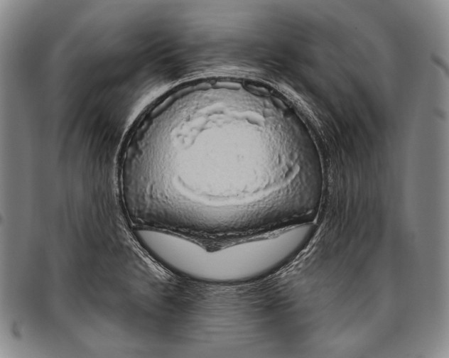 X0000096471230200802211142