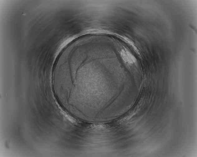 X0000096471231200802211142