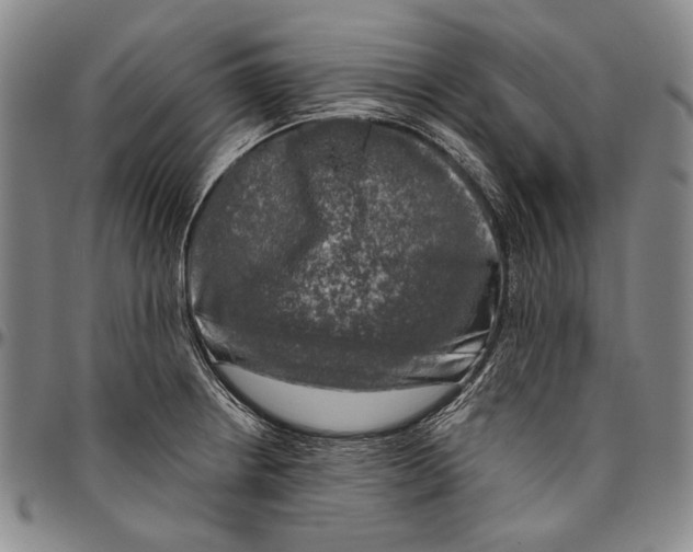 X0000096471234200802211142