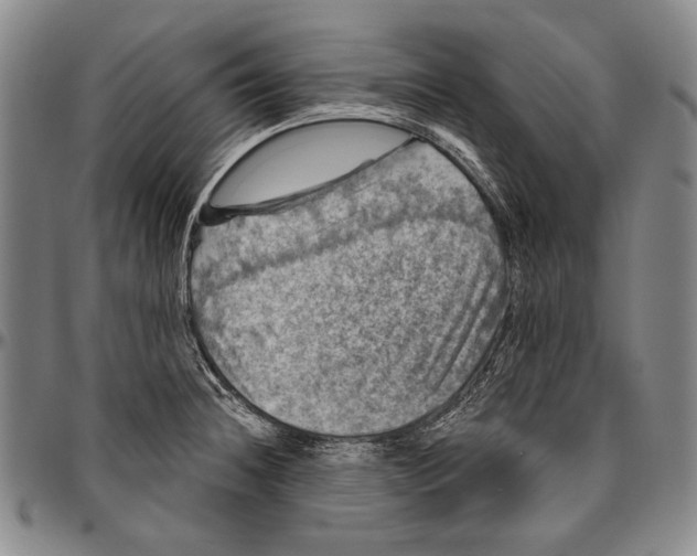 X0000096471236200802211142