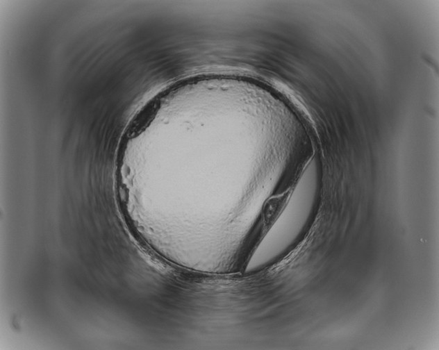 X0000096471237200802211142