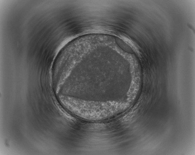 X0000096471238200802211142