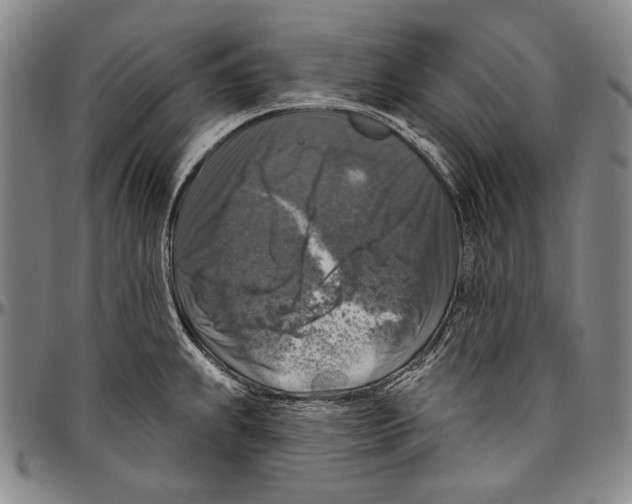 X0000096471239200802211142