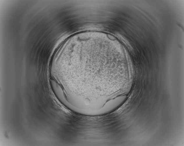 X0000096471240200802211142