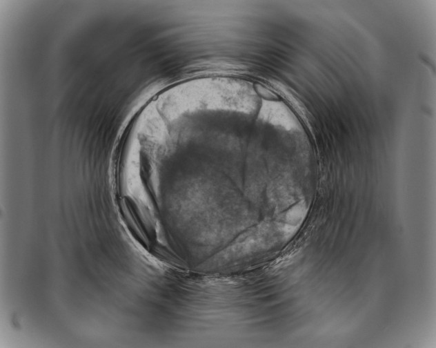 X0000096471243200802211142