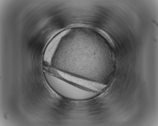 X0000096471244200802211142