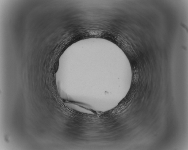 X0000096471249200802211142