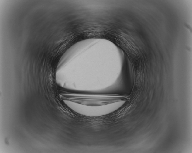 X0000096471250200802211142