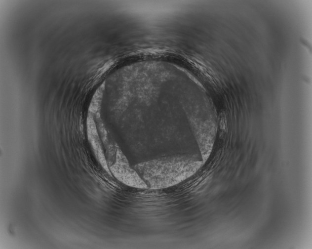 X0000096471252200802211141