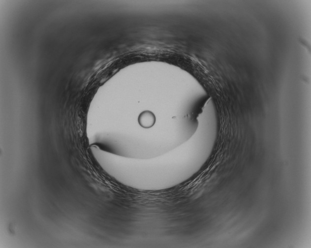 X0000096471253200802211141