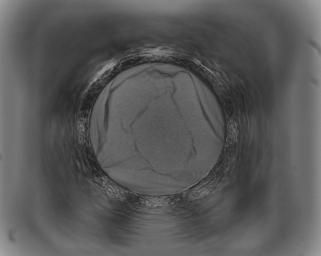 X0000096471254200802211141