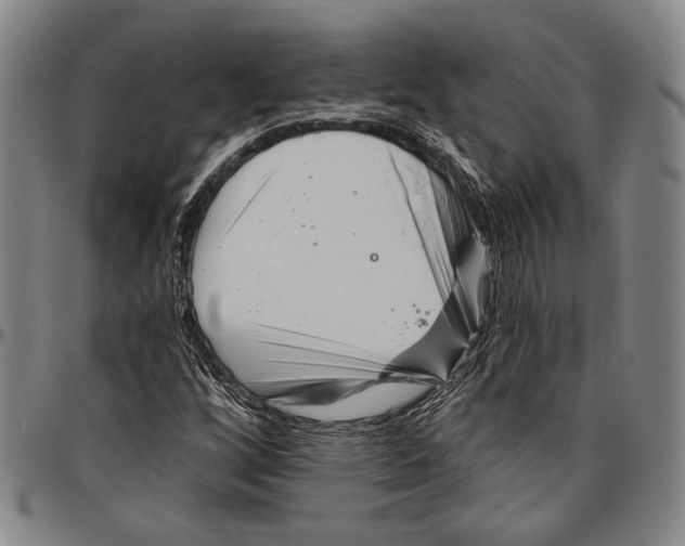 X0000096471256200802211141