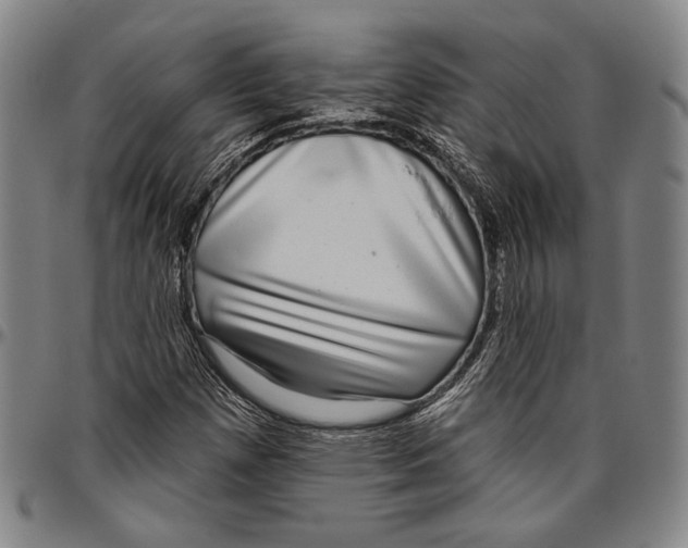 X0000096471257200802211141