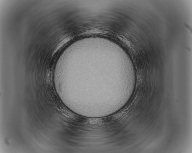 X0000096471258200802211141