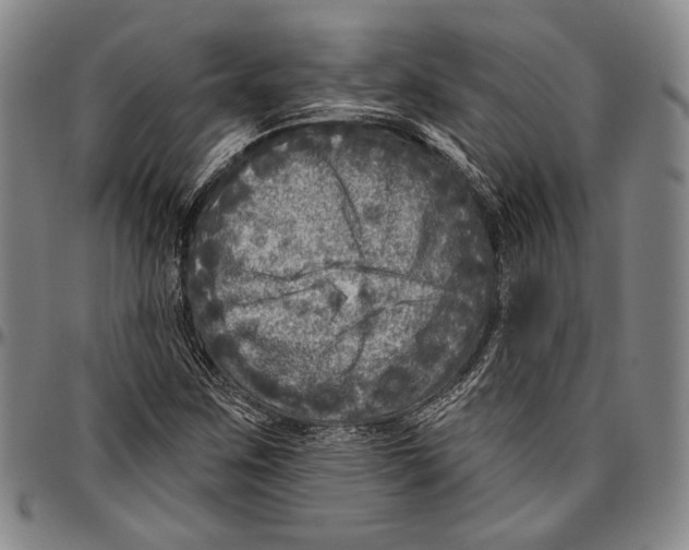 X0000096471259200802211141