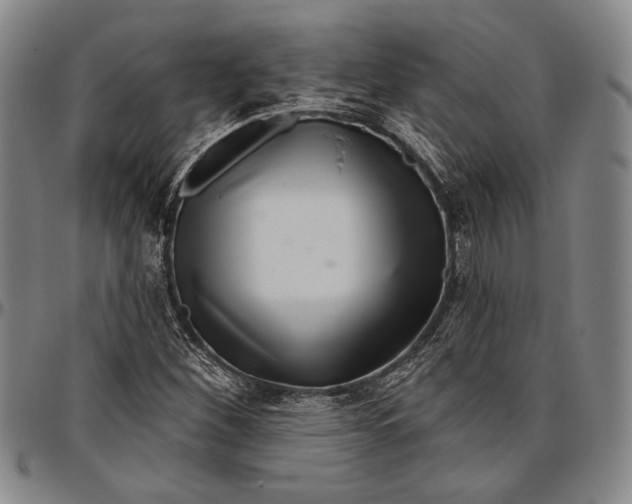 X0000096471260200802211141