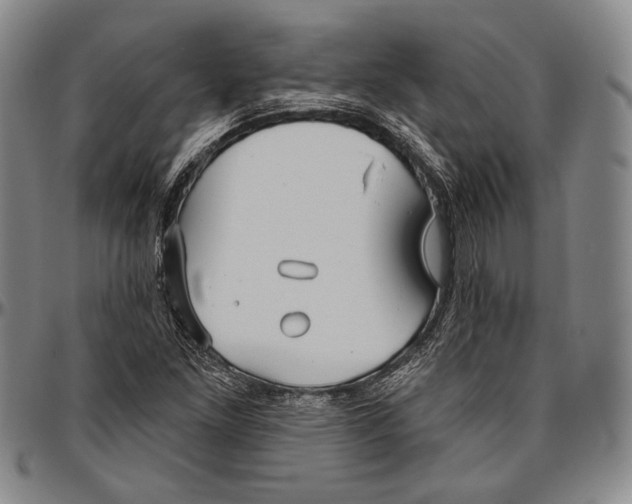 X0000096471261200802211141