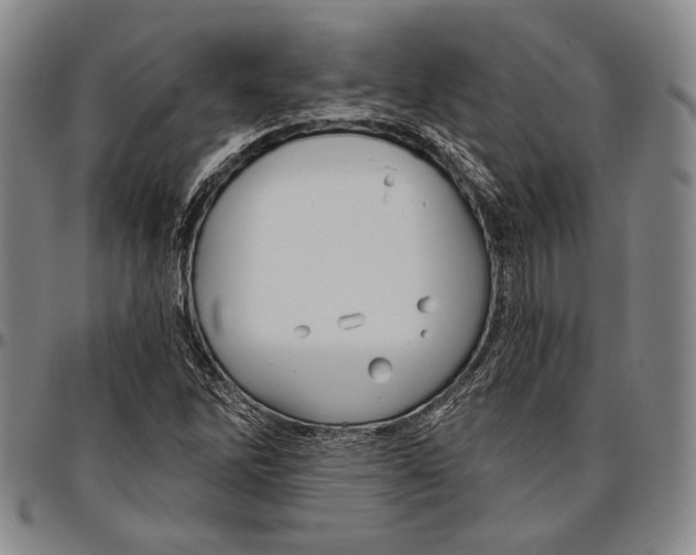 X0000096471262200802211141