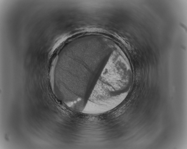 X0000096471263200802211141