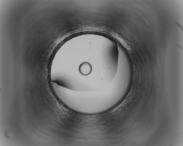 X0000096471264200802211141