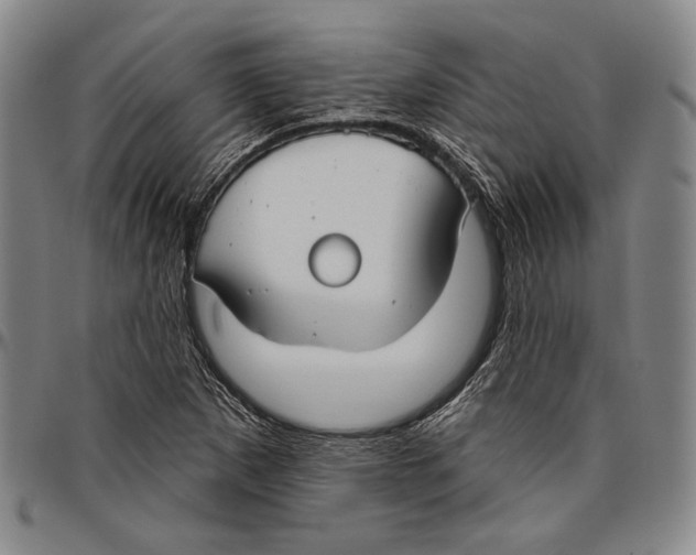 X0000096471265200802211141