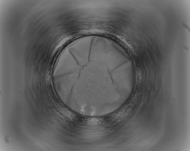 X0000096471266200802211141