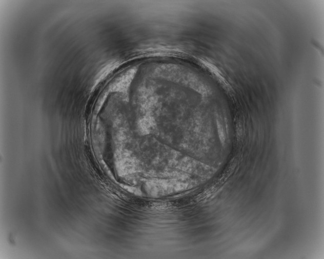 X0000096471267200802211141