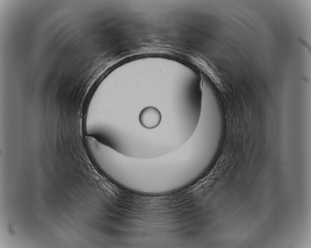 X0000096471268200802211141