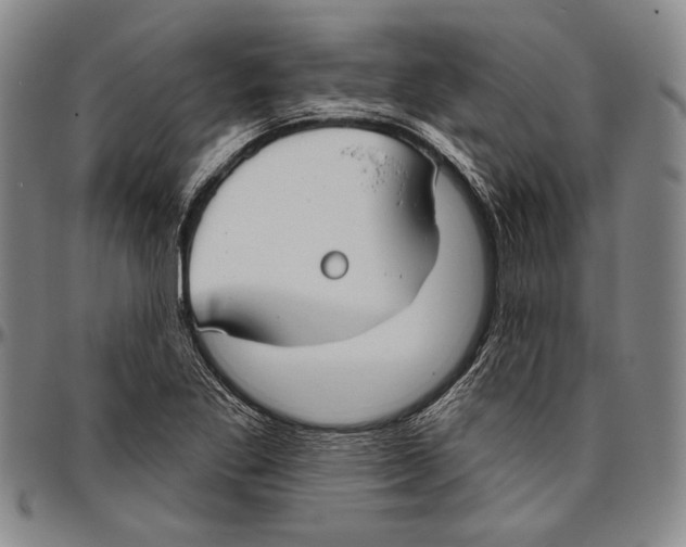 X0000096471269200802211141