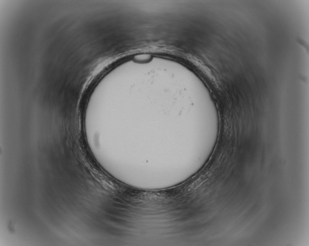 X0000096471270200802211141