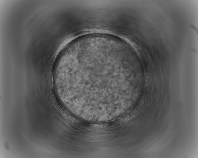 X0000096471271200802211141