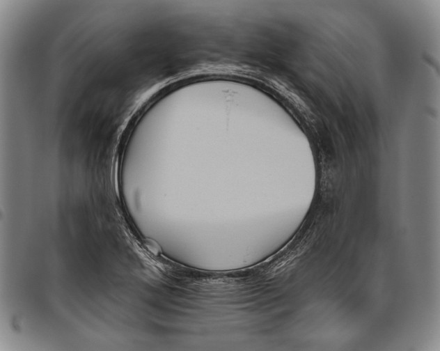 X0000096471272200802211141